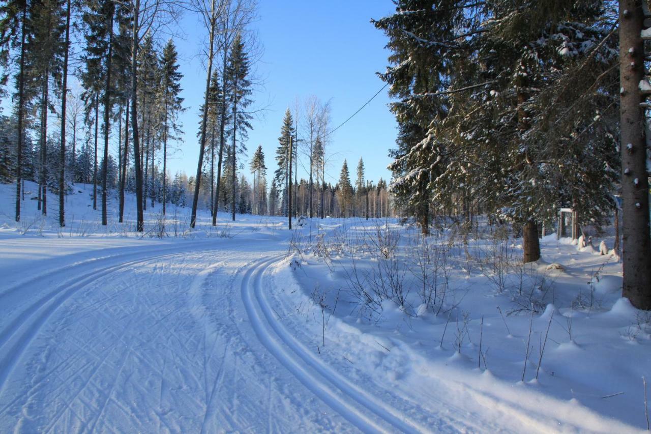 Pankkotupa 16-B Punkaharju Exterior foto
